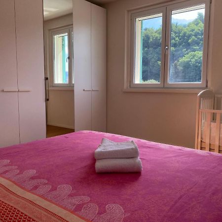 Villa Lena Camaiore Bagian luar foto